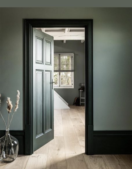 Décoration intérieure aux tons verts naturels, porte peinte et parquet clair, inspiration maison de caractère – Morgane Déco